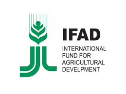 ifad_logo