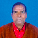 Mr. Dhalu Sahu